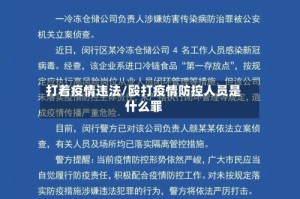 打着疫情违法/殴打疫情防控人员是什么罪