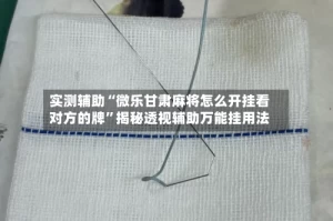 实测辅助“微乐甘肃麻将怎么开挂看对方的牌”揭秘透视辅助万能挂用法