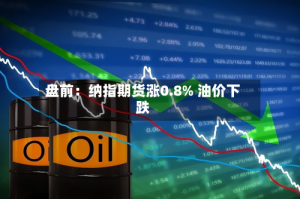盘前：纳指期货涨0.8% 油价下跌