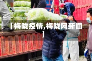【梅陇疫情,梅陇网新闻】