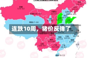 连跌10周，猪价反弹了