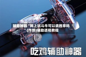 辅助神器“网上玩斗牛可以调胜率吗”(作弊)辅助透视教程