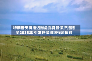 特朗普支持推迟濒危露脊鲸保护措施至2035年 引发环保组织强烈反对