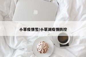小草疫情雪/小草湖疫情防控