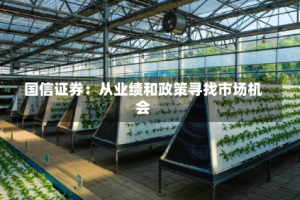 国信证券：从业绩和政策寻找市场机会