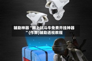 辅助神器“网上玩斗牛免费开挂神器”(作弊)辅助透视教程