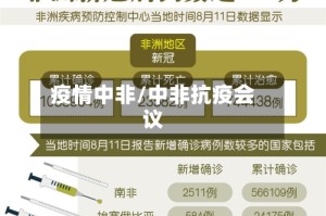 疫情中非/中非抗疫会议