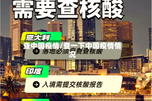 查中国疫情/查一下中国疫情情况