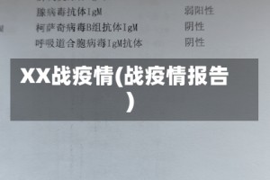 XX战疫情(战疫情报告)