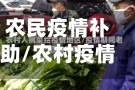 农民疫情补助/农村疫情补助金