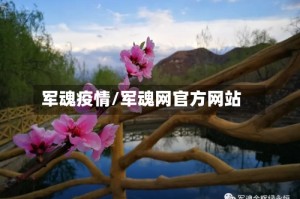 军魂疫情/军魂网官方网站