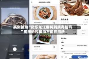 实测辅助“微乐龙江麻将到底有挂吗”揭秘透视辅助万能挂用法