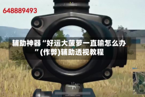 辅助神器“好运大菠萝一直输怎么办”(作弊)辅助透视教程