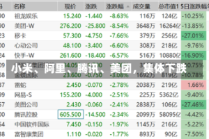小米、阿里、腾讯、美团，集体下跌
