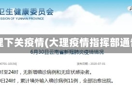 大理下关疫情(大理疫情指挥部通告)