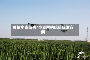 疫情小麦防病/小麦两病统防统治方案