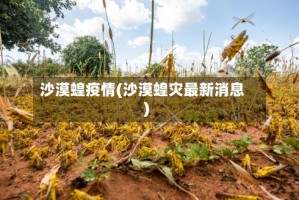 沙漠蝗疫情(沙漠蝗灾最新消息)