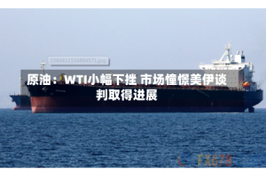 原油：WTI小幅下挫 市场憧憬美伊谈判取得进展