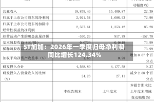 ST加加：2026年一季度归母净利润同比增长124.34%