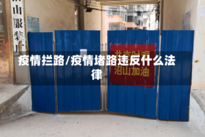 疫情拦路/疫情堵路违反什么法律