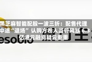黑芝麻智能配股一波三折：配售代理中途“退场” 认购方卷入监管风暴 6.3亿港元融资疑云重重