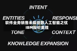 软件业务销售未能驱散人工智能之忧 IBM股价重挫