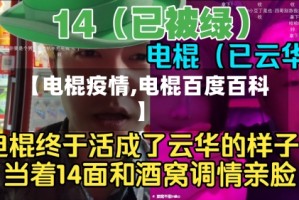 【电棍疫情,电棍百度百科】