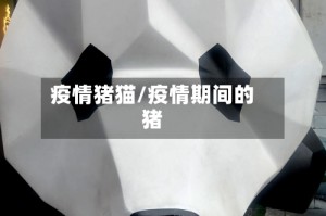 疫情猪猫/疫情期间的猪