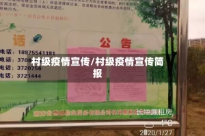 村级疫情宣传/村级疫情宣传简报