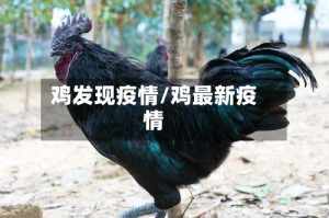 鸡发现疫情/鸡最新疫情