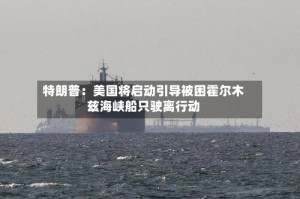 特朗普：美国将启动引导被困霍尔木兹海峡船只驶离行动