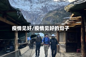 疫情见好/疫情见好的句子