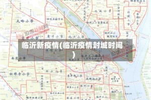 临沂新疫情(临沂疫情封城时间)
