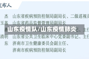 山东疫情队/山东疫情肺炎