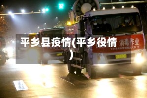 平乡县疫情(平乡役情)