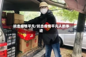 抗击疫情平凡/抗击疫情平凡人的事迹