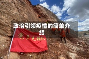 政治引领疫情的简单介绍