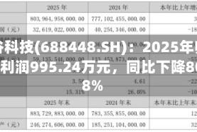 磁谷科技(688448.SH)：2025年归母净利润995.24万元，同比下降80.68%