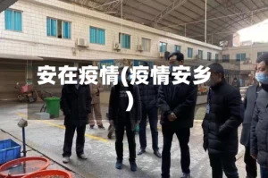 安在疫情(疫情安乡)