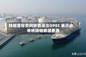 特朗普称赞阿联酋退出OPEC 表示此举将降低能源费用