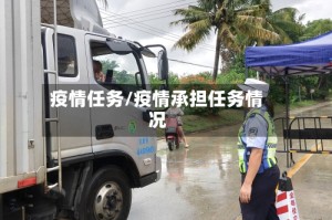疫情任务/疫情承担任务情况