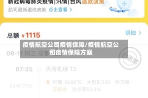 疫情航空公司疫情保障/疫情航空公司疫情保障方案