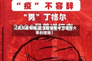 【武汉疫情集,武汉疫情集中力量办大事的措施】