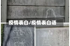 疫情表白/疫情表白语