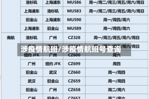 涉疫情航班/涉疫情航班号查询