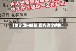 【确诊国内疫情,国内确诊病例】