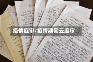 疫情庭审/疫情期间云庭审