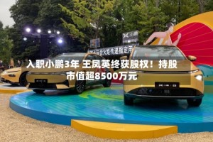 入职小鹏3年 王凤英终获股权！持股市值超8500万元