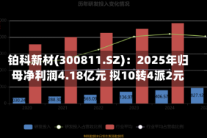 铂科新材(300811.SZ)：2025年归母净利润4.18亿元 拟10转4派2元