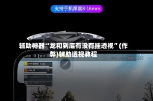 辅助神器“龙和到底有没有挂透视”(作弊)辅助透视教程